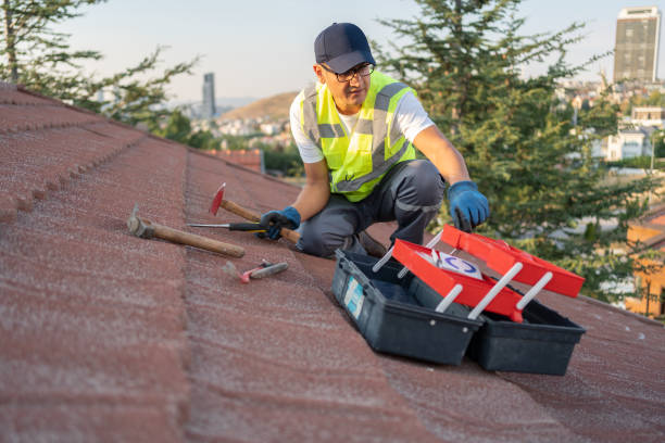 Best Hoarding Cleanup  in Bagley, MN